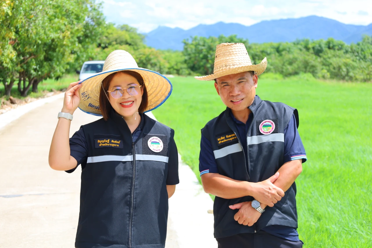 catalogs_file_1624_3_5_405980.webp